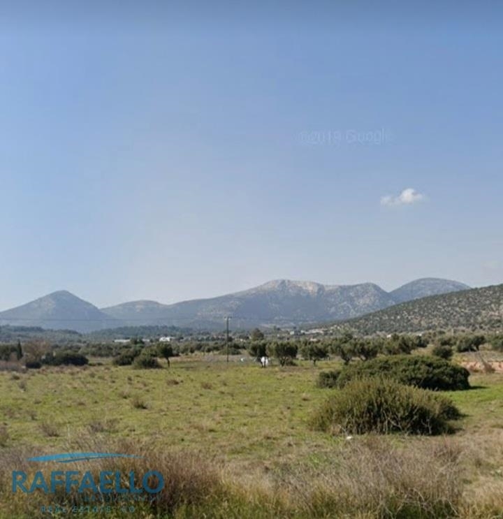 (For Rent) Land Plot || East Attica/Koropi - 5.000 Sq.m, 2.000€ 