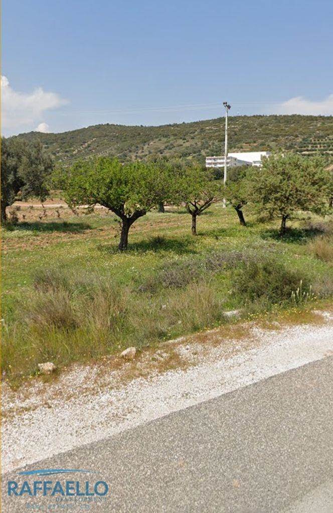 (For Rent) Land Plot || East Attica/Spata - 900 Sq.m, 850€ 