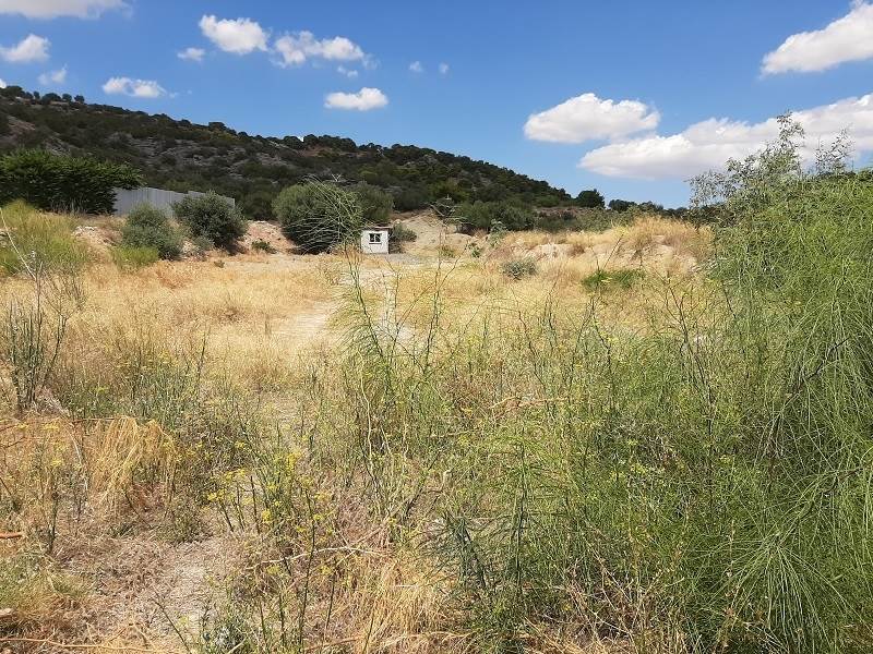 (For Rent) Land Plot || East Attica/Vari-Varkiza - 3.500 Sq.m, 1.890€ 