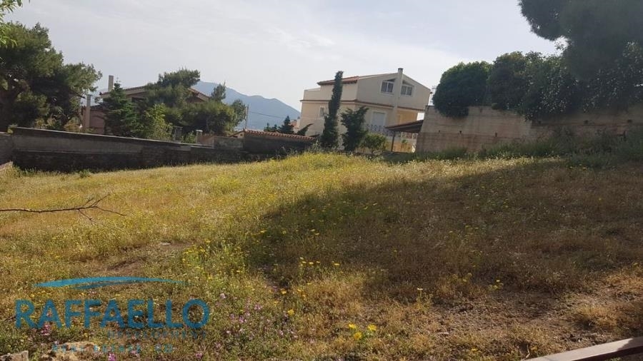 (For Sale) Land Plot || Athens North/Penteli - 860 Sq.m, 500.000€ 