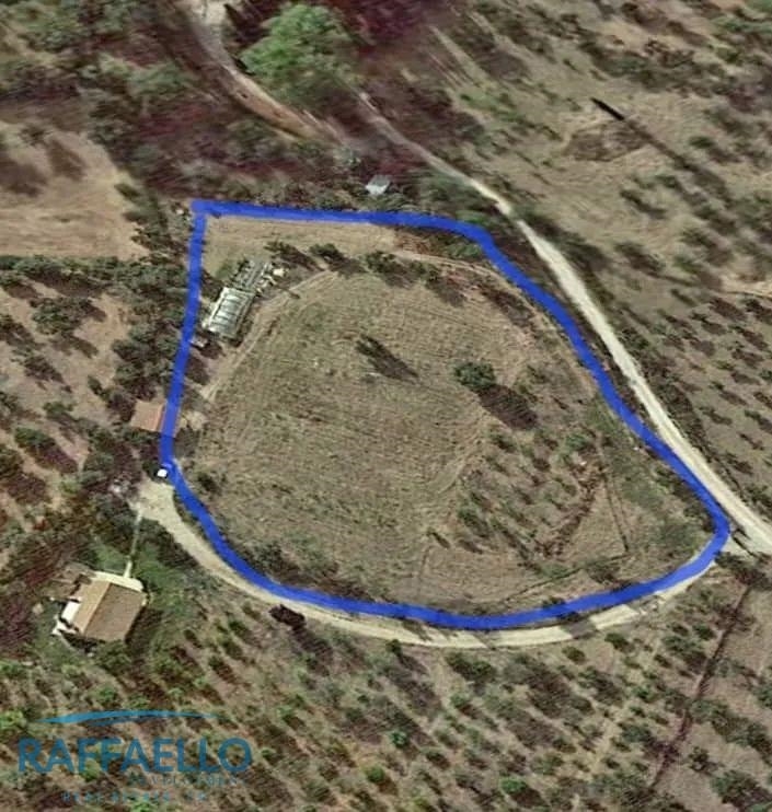 (For Sale) Land Agricultural Land  || Achaia/Dymi - 7.500 Sq.m, 90.000€ 