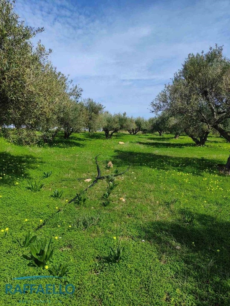 (For Sale) Land Plot || Irakleio/Irakleio - 6.380 Sq.m, 140.000€ 