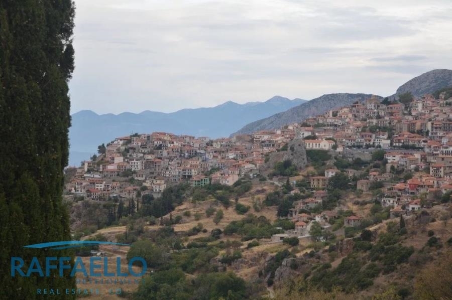 (For Sale) Residential Building || Voiotia/Arachova - 400 Sq.m, 350.000€ 