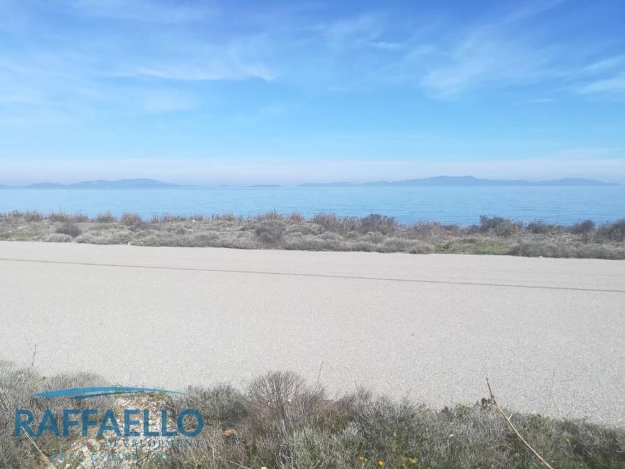 (For Sale) Land Large Land  || Cyclades/Anafi - 60.000 Sq.m, 480.000€ 