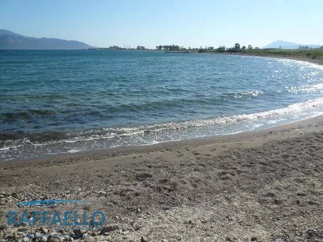 (Προς Πώληση) Αξιοποιήσιμη Γη Έκταση || Ν. Αχαϊας/Ρίο - 58.000 τ.μ, 3.700.000€ 