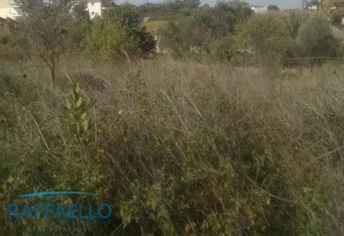 (Προς Πώληση) Αξιοποιήσιμη Γη Οικόπεδο || Ανατολική Αττική/Αχαρνές (Μενίδι) - 1.258 τ.μ, 800.000€ 