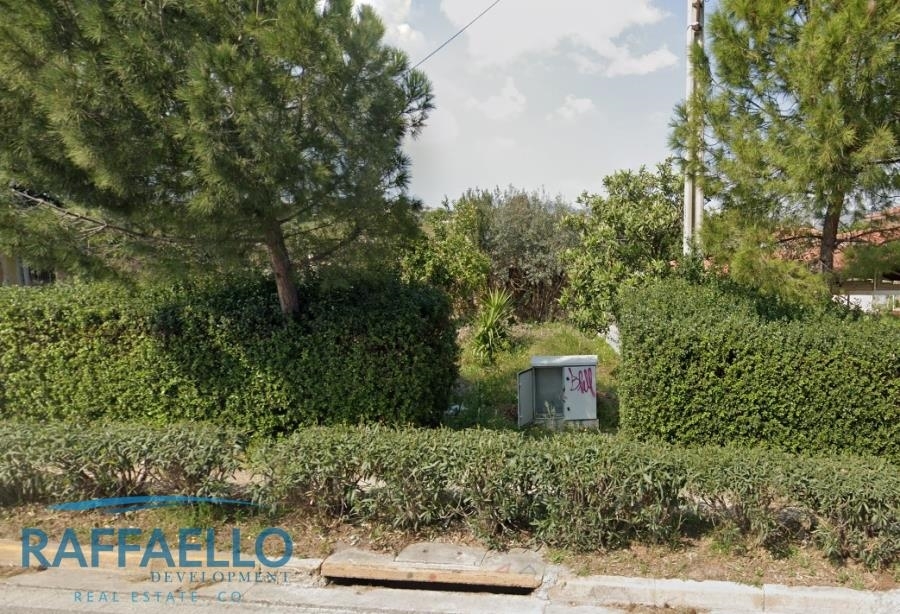 (Προς Πώληση) Αξιοποιήσιμη Γη Οικόπεδο || Ανατολική Αττική/Παλλήνη - 12.000 τ.μ, 1.300.000€ 