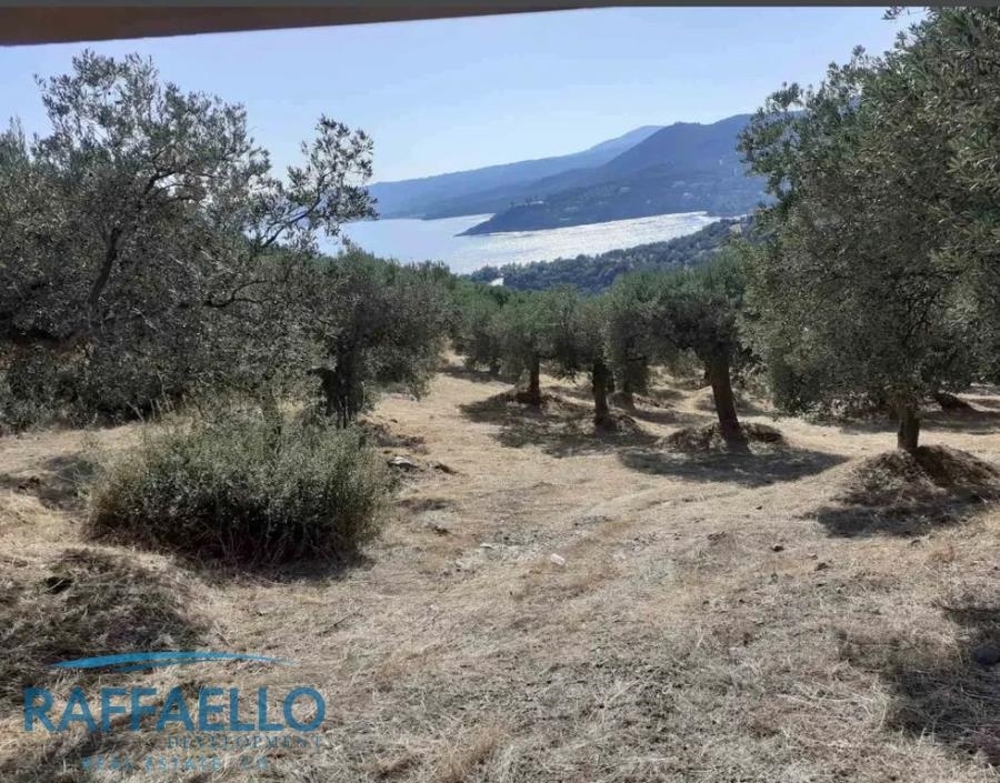 (Προς Πώληση) Αξιοποιήσιμη Γη Αγροτεμάχιο || Ν. Χαλκιδικής/Παναγία - 10.050 τ.μ, 400.000€ 
