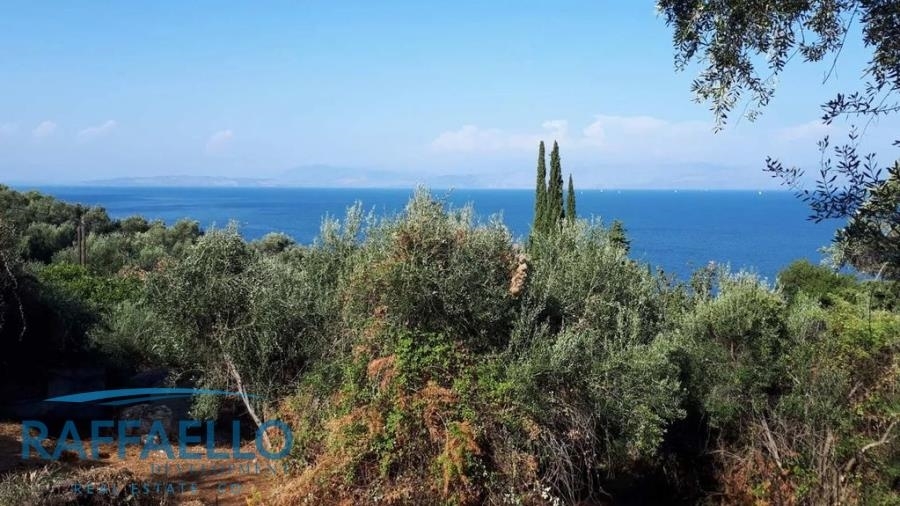 (Προς Πώληση) Αξιοποιήσιμη Γη Οικόπεδο || Ν. Κέρκυρας/Αχίλλειο - 5.138 τ.μ, 150.000€ 