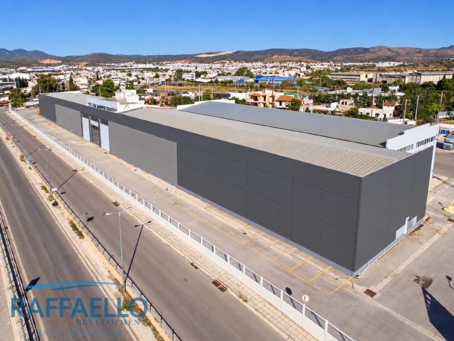 (For Rent) Commercial Industrial Area ||  West Attica/Elefsina - 9.450 Sq.m, 61.000€ 
